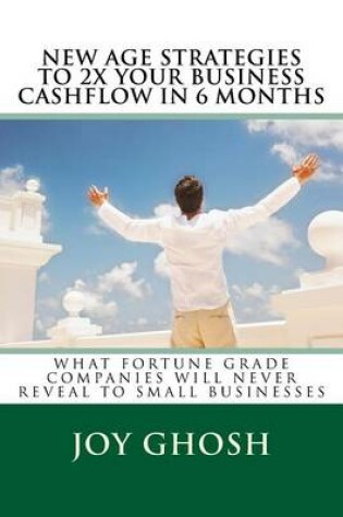 Cover of New Age Strategies To 2X Your Business Cashflow in 6 Months