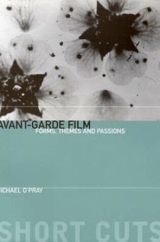 Cover of Avant–Garde Film – Forms, Themes and Passions