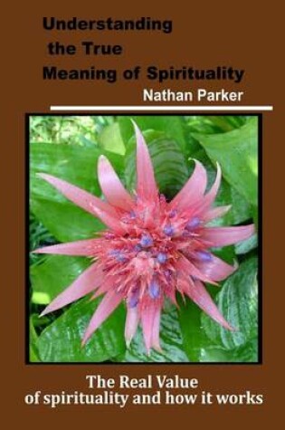 Cover of Understanding the True Meaning of Spirituality