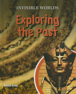 Book cover for Exploring the Past