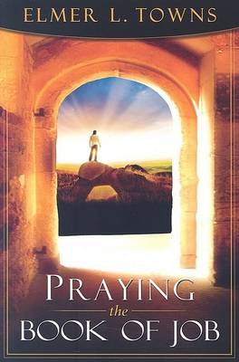 Book cover for Praying the Book of Job