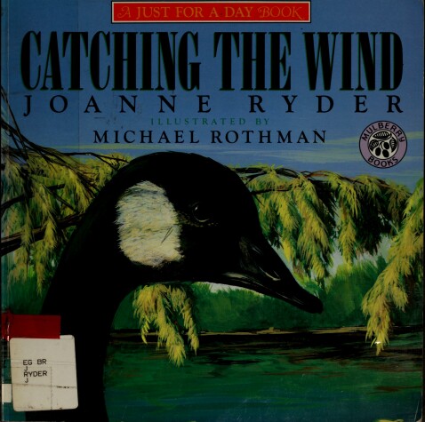 Book cover for Catching the Wind