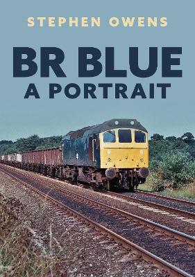 Book cover for BR Blue: A Portrait