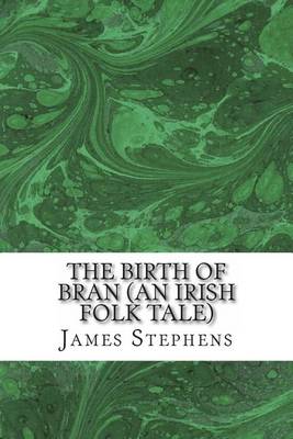Book cover for The Birth of Bran (an Irish Folk Tale)
