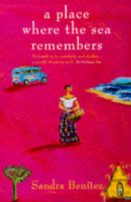 Book cover for A Place Where the Sea Remembers