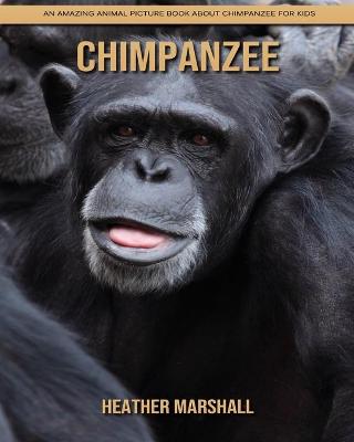 Book cover for Chimpanzee