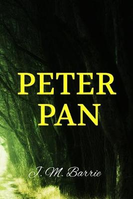 Book cover for Peter Pan J. M. Barrie