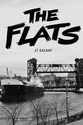 Book cover for The Flats