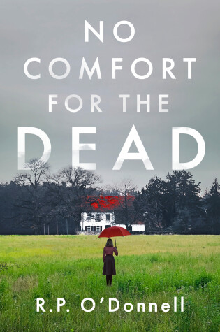 Cover of No Comfort for the Dead