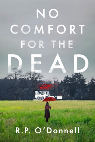 Book cover for No Comfort for the Dead