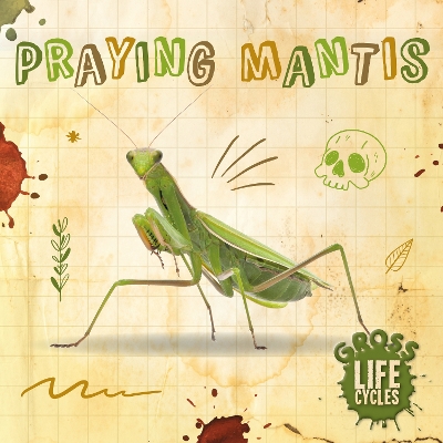 Book cover for Praying Mantis