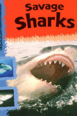 Cover of Savage Sharks