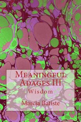 Book cover for Meaningful Adages