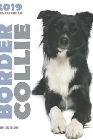 Cover of Border Collie 2019 Dog Calendar (UK Edition)