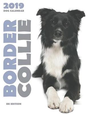 Book cover for Border Collie 2019 Dog Calendar (UK Edition)