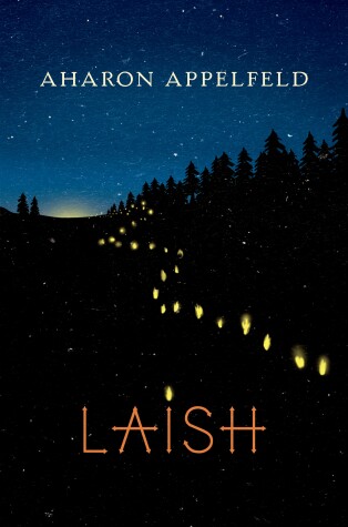 Book cover for Laish