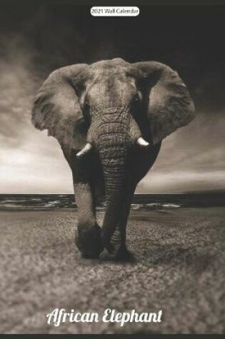 Cover of African Elephant 2021 Wall Calendar