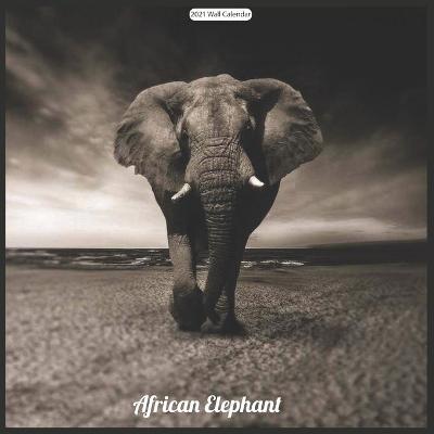 Book cover for African Elephant 2021 Wall Calendar