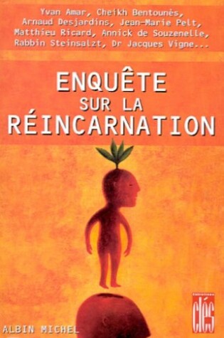 Cover of Enquete Sur La Reincarnation