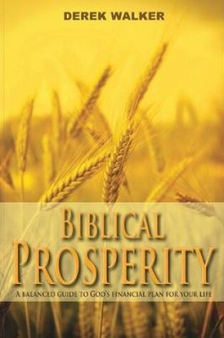 Cover of Biblical Prosperity