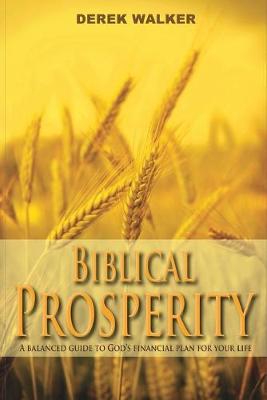 Book cover for Biblical Prosperity