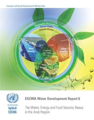 Cover of The water, energy and food security nexus in the Arab region