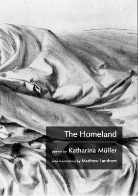 Book cover for The Homeland