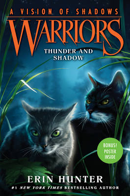 Book cover for Thunder and Shadow