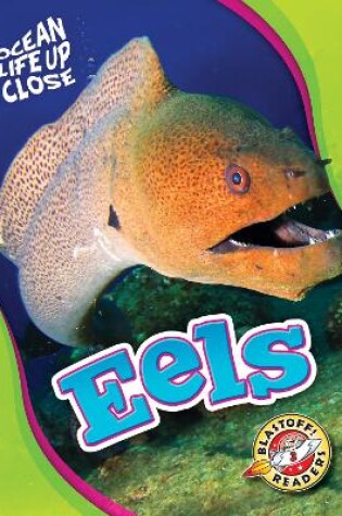 Cover of Eels