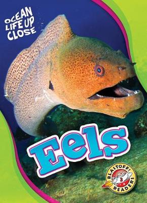 Book cover for Eels