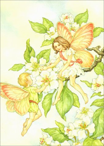 Book cover for Fairies Notebook