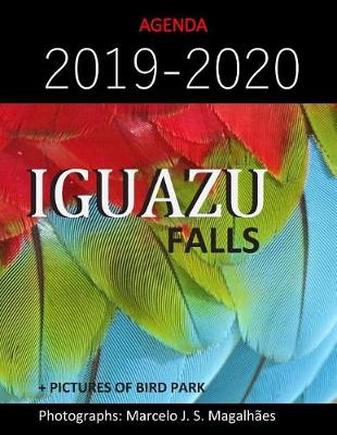 Book cover for 2019-2020 Planner-Iguazu Falls