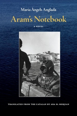 Cover of Aram's Notebook