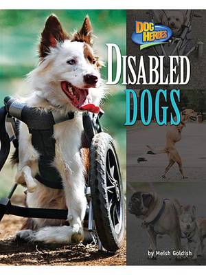 Book cover for Disabled Dogs