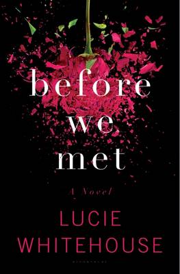 Book cover for Before We Met