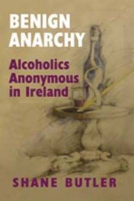 Book cover for Benign Anarchy