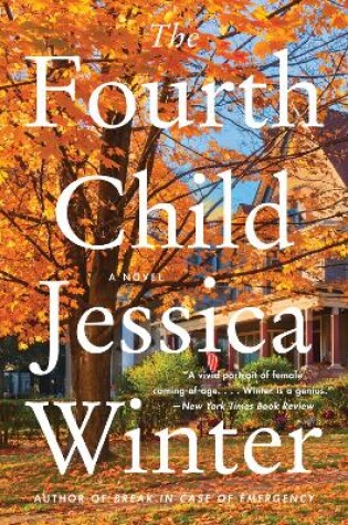 Cover of The Fourth Child