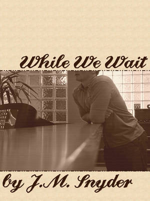 Book cover for While We Wait