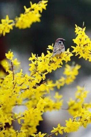 Cover of Yellow Forsythia and a Sparrow in Early Spring Journal