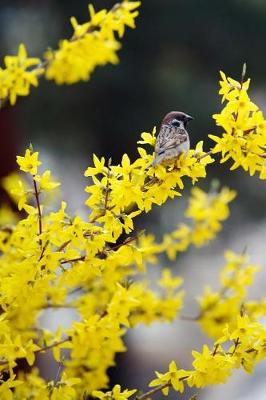 Book cover for Yellow Forsythia and a Sparrow in Early Spring Journal