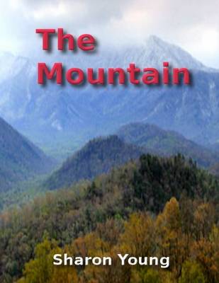 Book cover for The Mountain