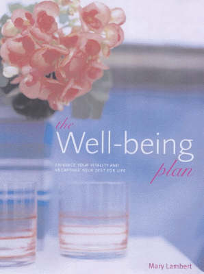 Book cover for The Wellbeing Plan