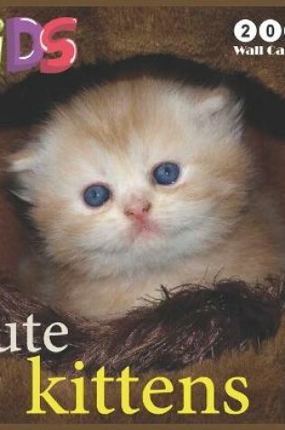 Cover of cute kittens