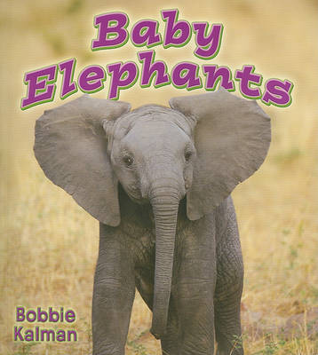 Book cover for Baby Elephants