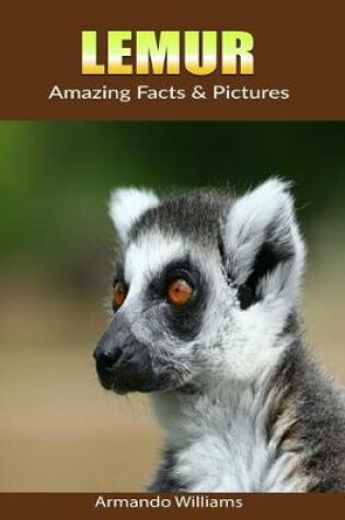 Cover of Lemur