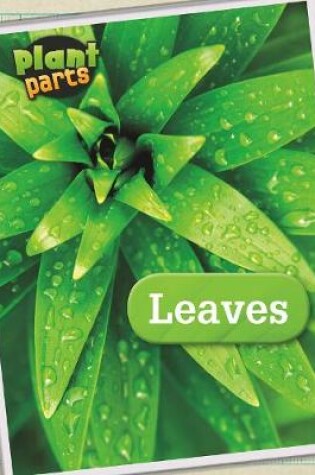 Cover of Leaves