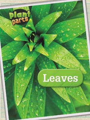 Book cover for Leaves