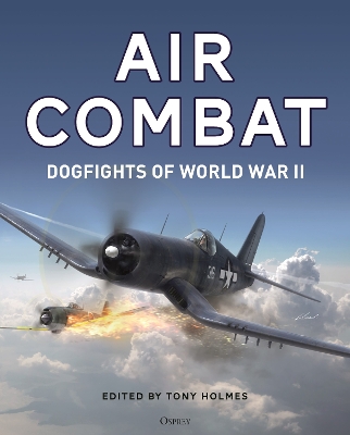 Book cover for Air Combat