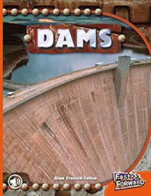 Book cover for Dams