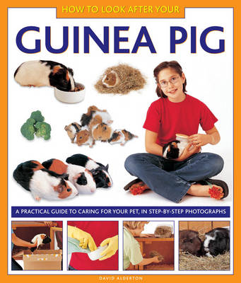 Book cover for How to Look After Your Guinea Pig